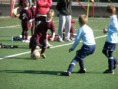 /album/a7-kolo-liga-u9-fkmkv-senec/pa155893-jpg/